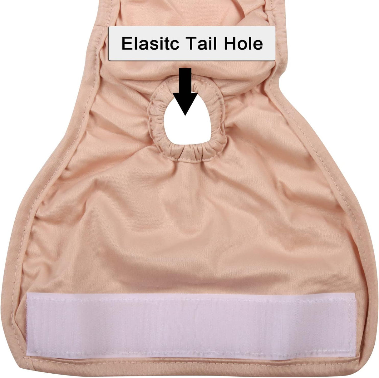 Vecomfy Pañales lavables para perras pequeñas, paquete de 4