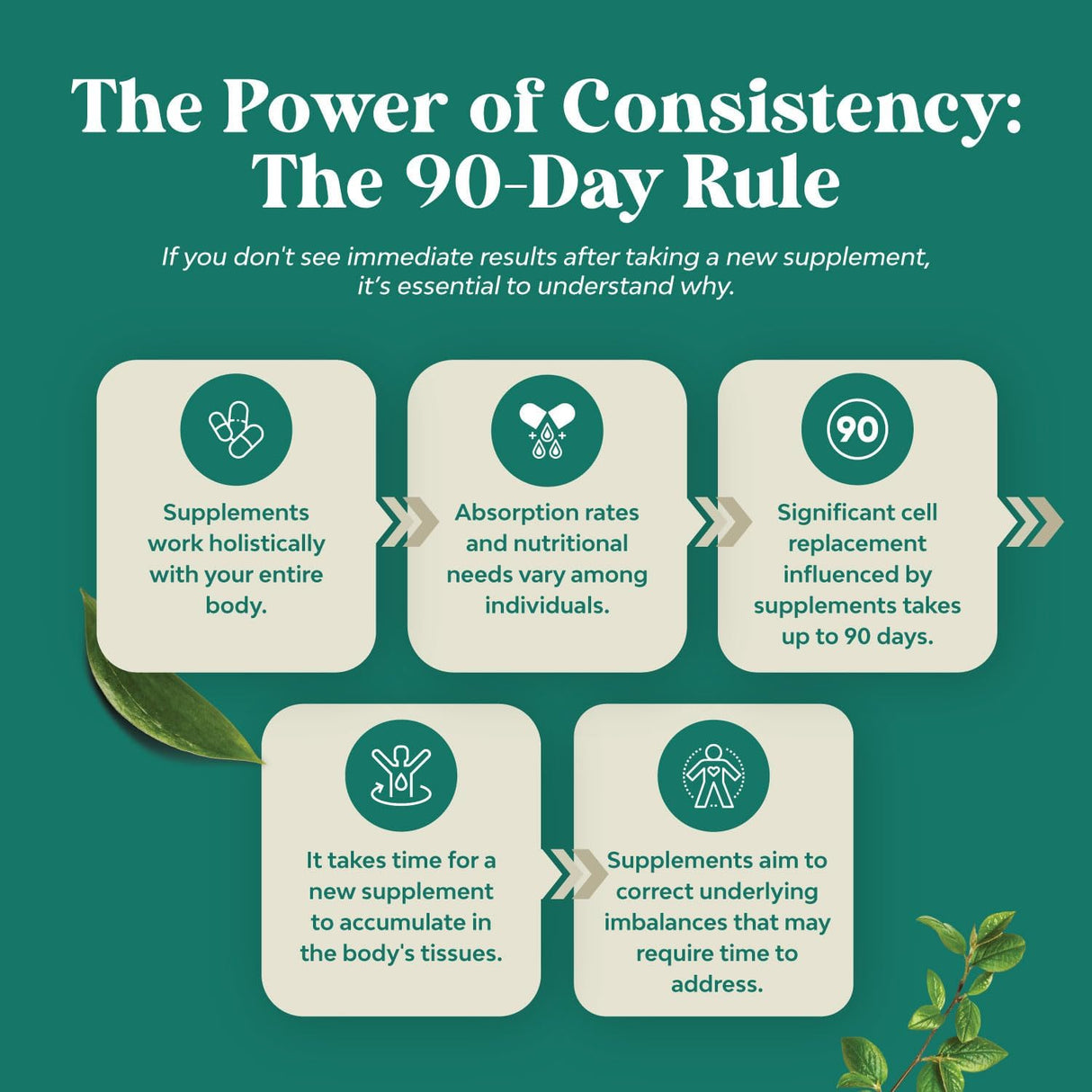 Suplemento aceite de orégano apoyo