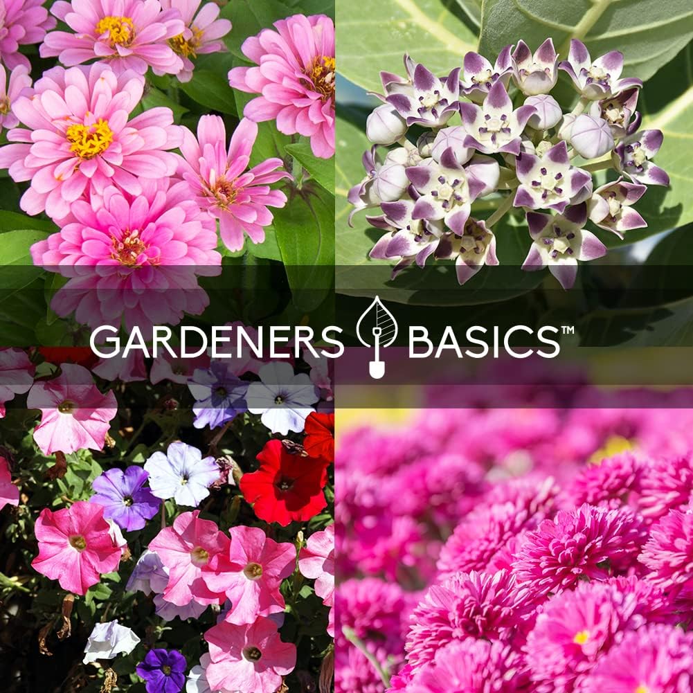 Semillas de Mariposa para Jardín, Gardeners Basics, 8 Variedades
