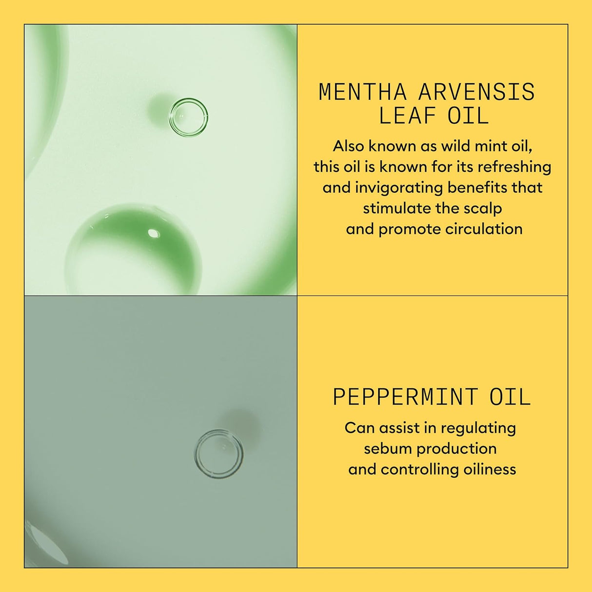 Acondicionador de Terapia Sistema 1 con Aceite de Menta