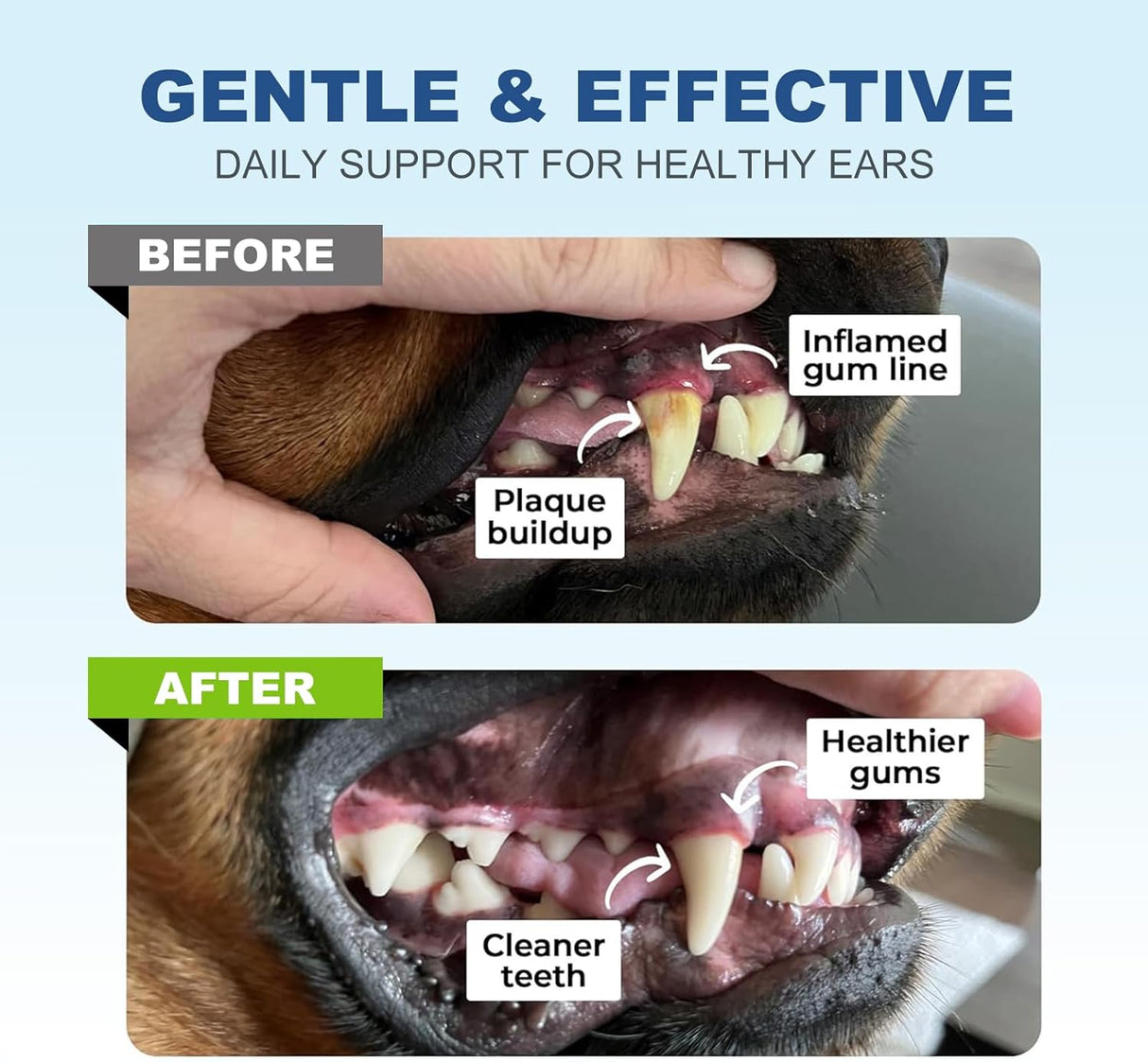 Toallitas Dentales para Perros y Gatos, Cuidado Oral 60 Cts