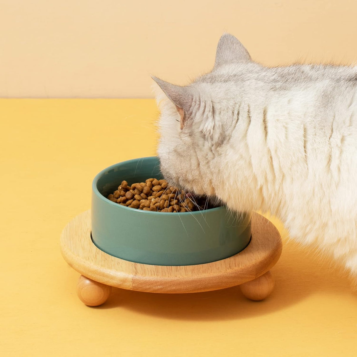 Cuenco elevado de cerámica para comida para gatito