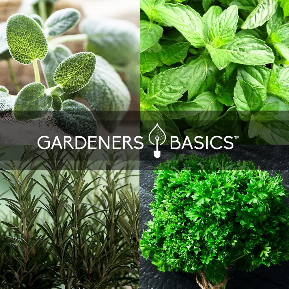 Semillas de Hierbas Italianas Gardeners Basics, 5 Variedades