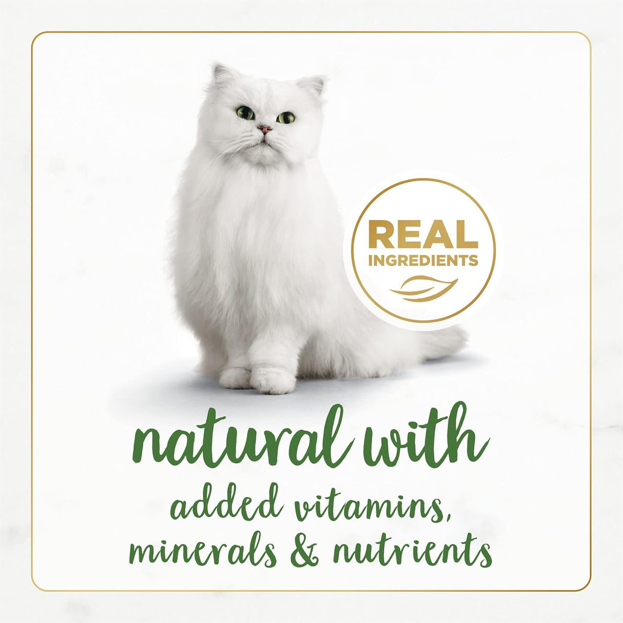 Alimento a húmeda enlatada para gatos adultos Paté Natural