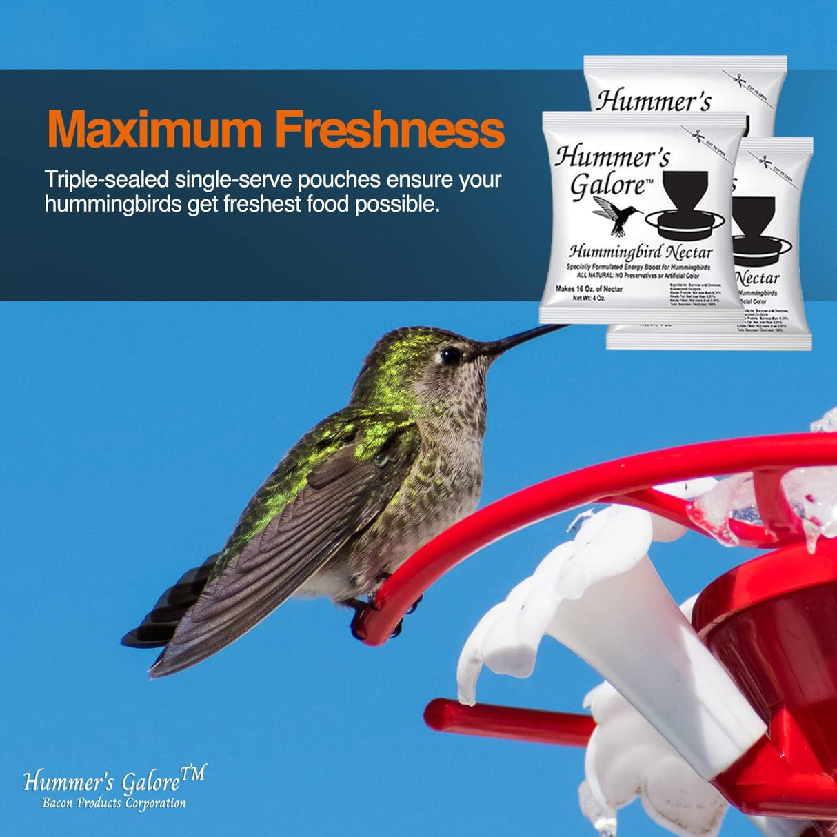 Comida o Néctar natural para colibríes saludables 4 paquetes