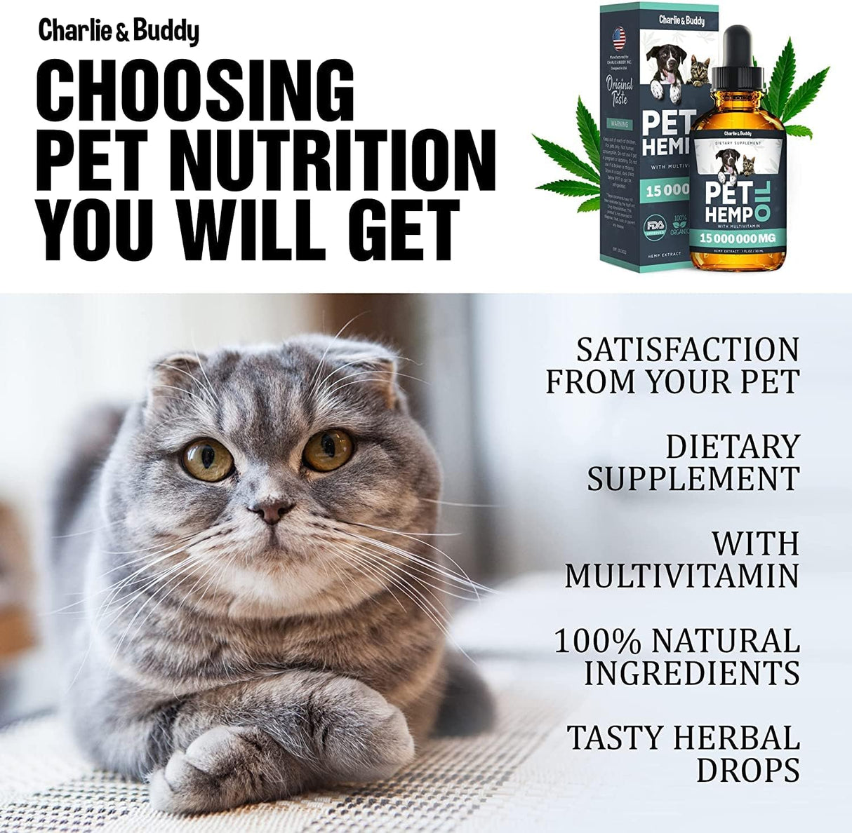 Vitaminas Ayuda a las mascotas con la ansiedad