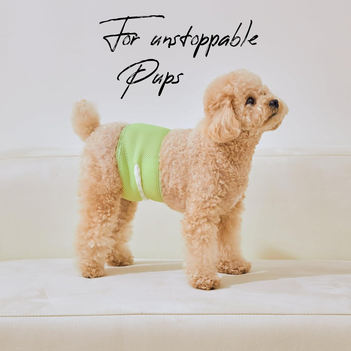 WICKEDPUP Kit de banda para el vientre para perros machos, 50 almohadillas