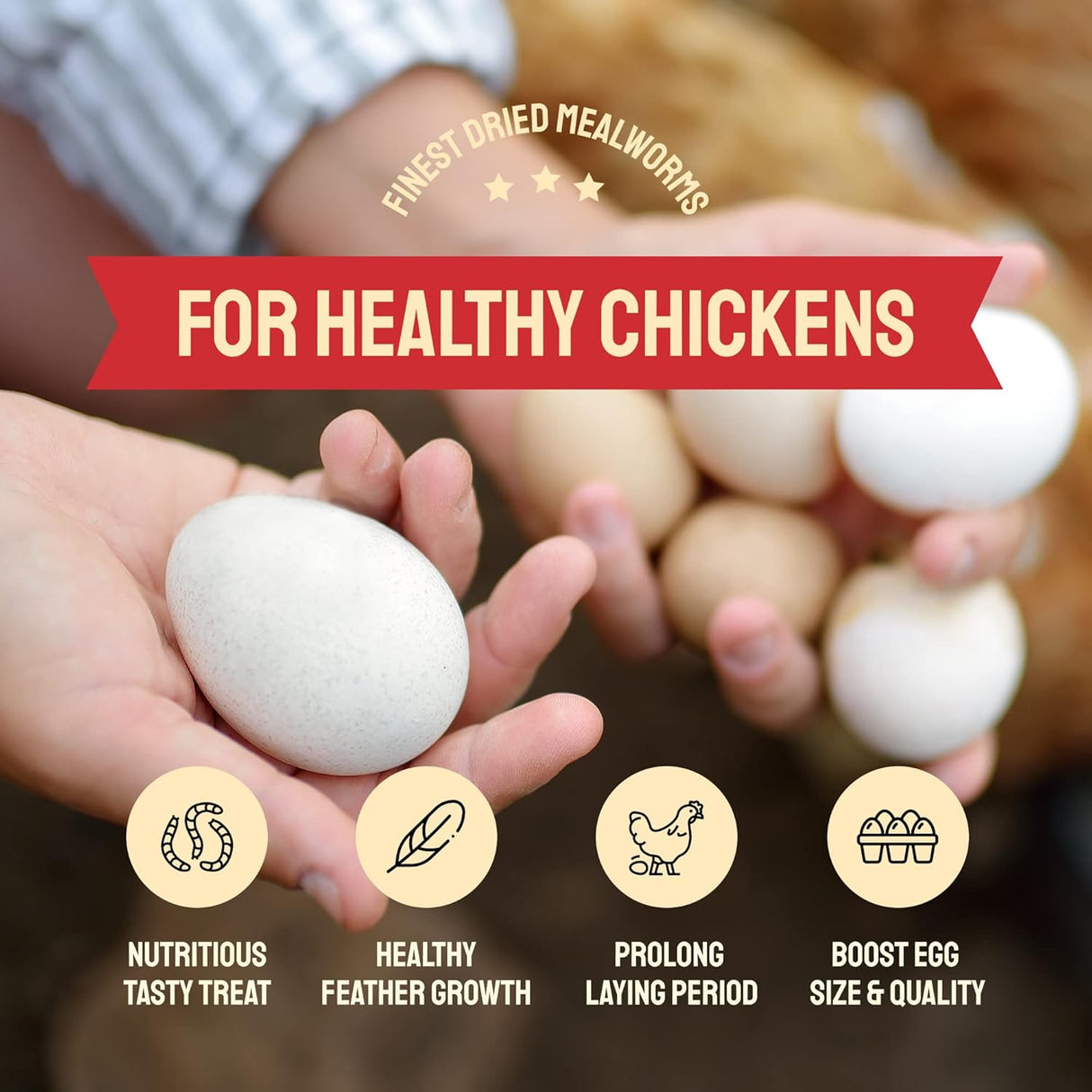 10 libras a granel de gusanos de harina secos sin OMG