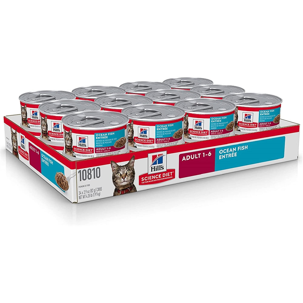 Alimento húmedo para gatos receta de pescado de océano