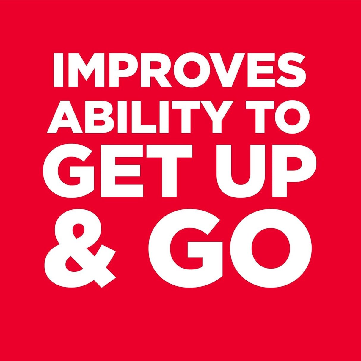 Alimento seco para gatos bolsa de 3 libras