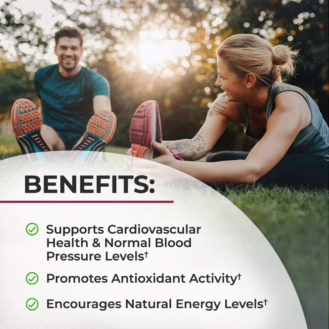 Suplementos Alimenticios Polvo de raíz de remolacha