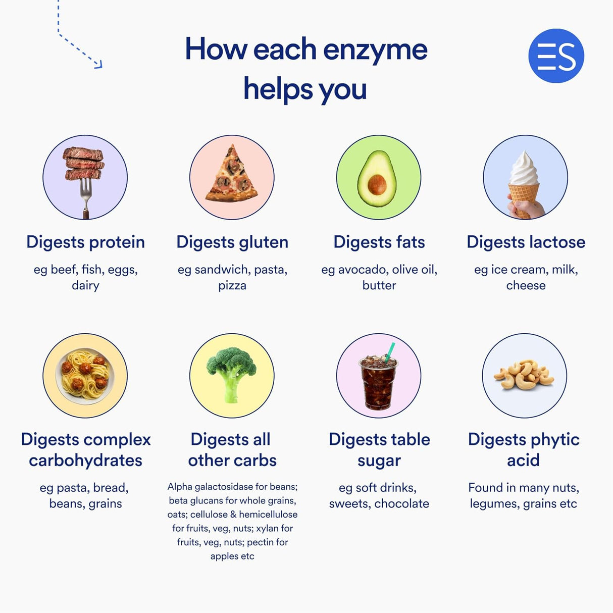 Suplementos Enzimas digestivas puras sin gluten 60 cáp