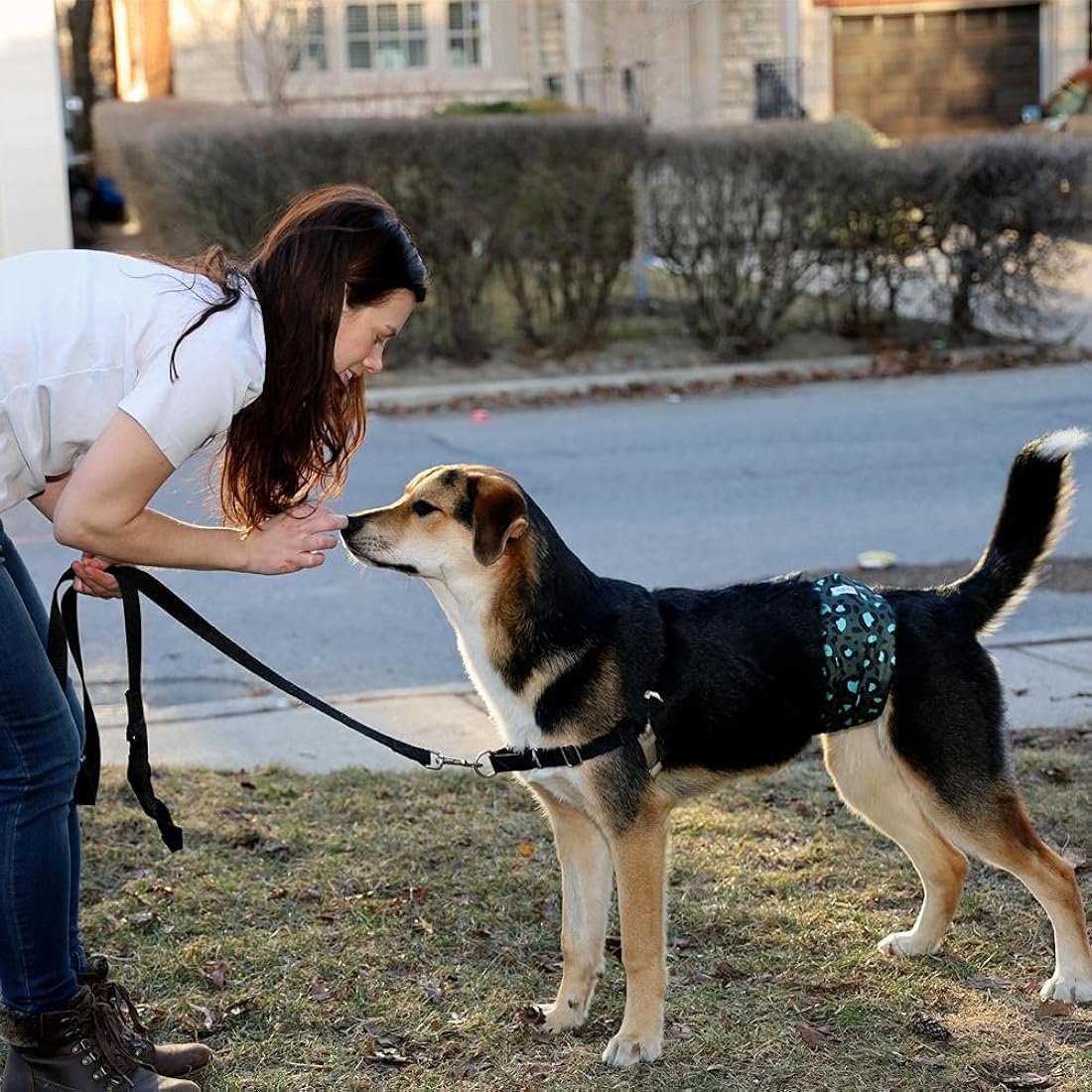Leekalos Pañales para perros machos, bandas de vientre