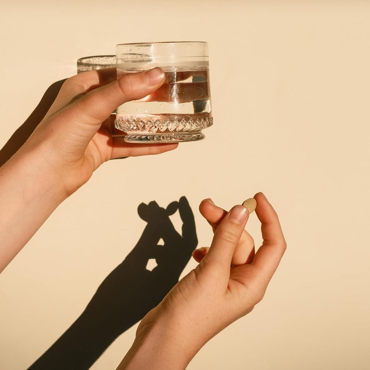 Suplemento Healthy Vata de Hierbas Orgánicas Ayurvédicas