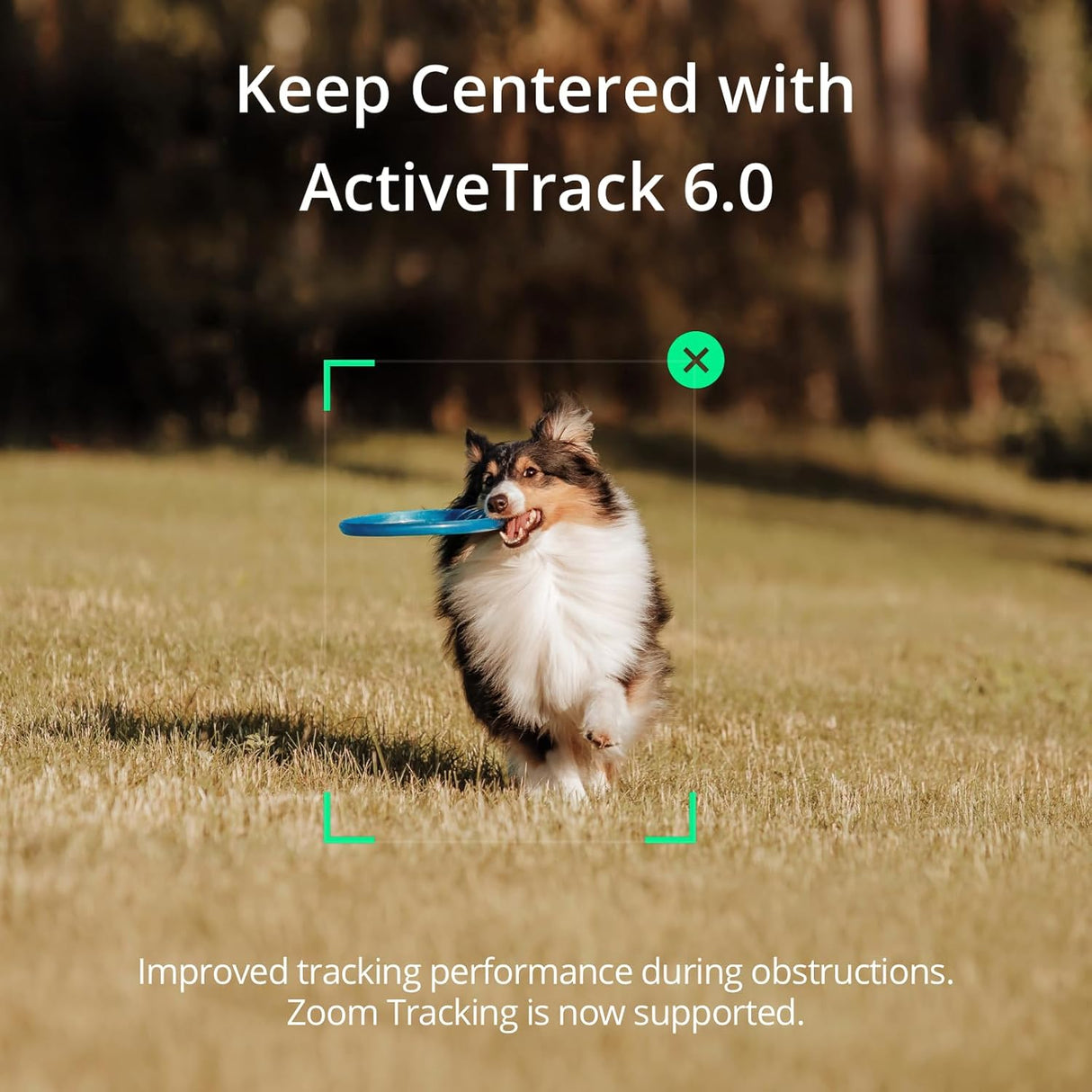 Gimbal DJI Osmo Mobile SE, 3 ejes, portátil, para smartphones