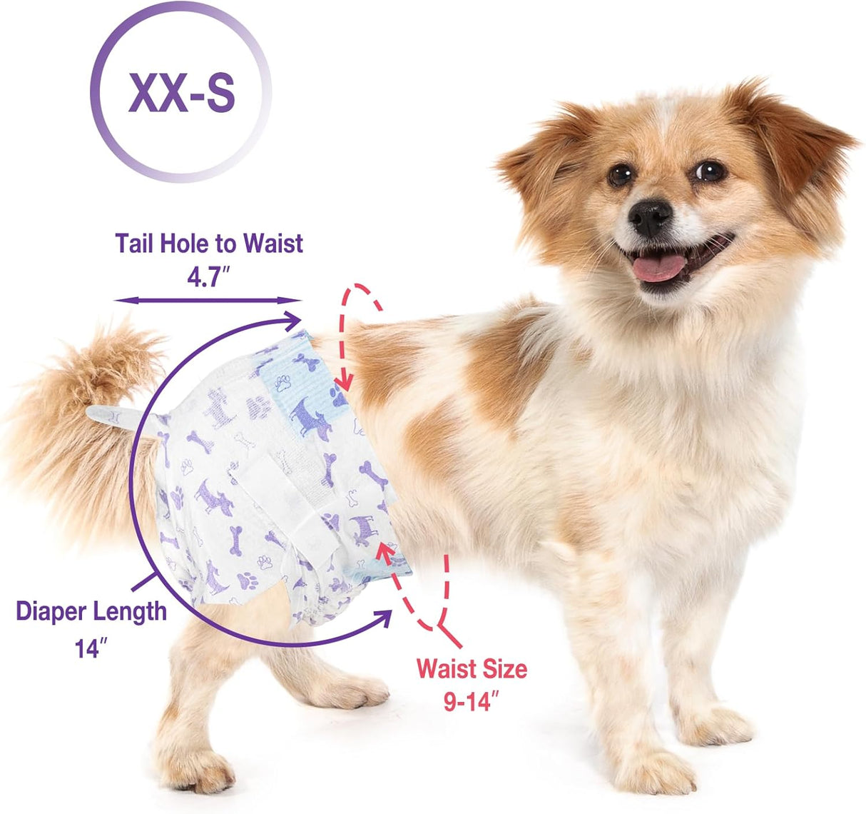 Pet Soft Pañales desechables para perras – 20 pañales