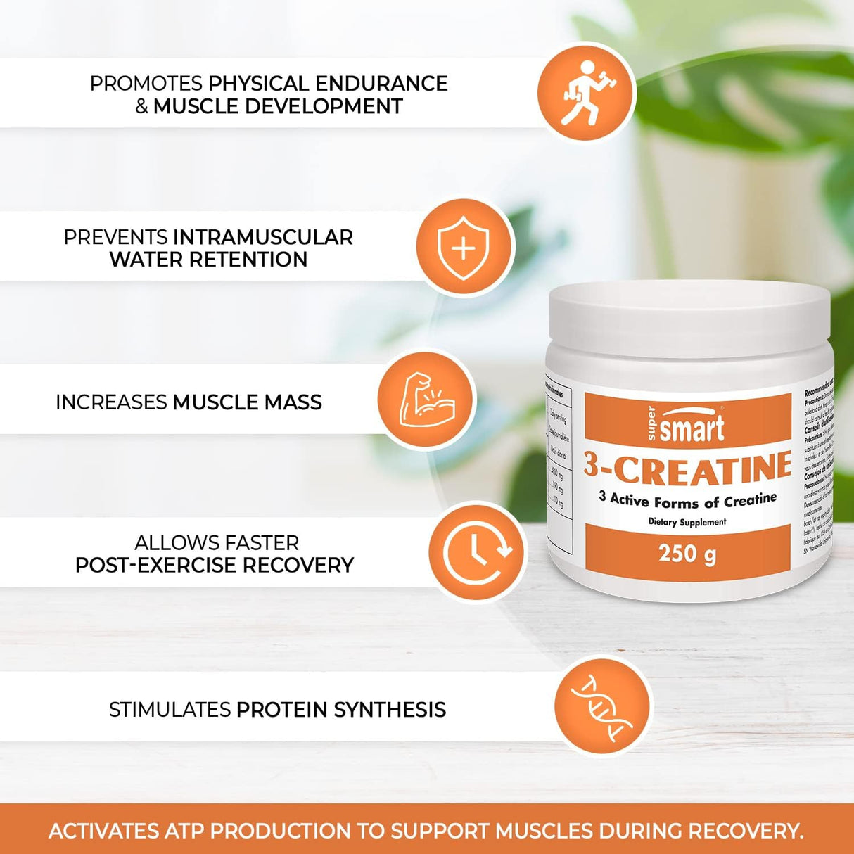 Suplementos Alimenticios Rendimiento Físico y Estimulador