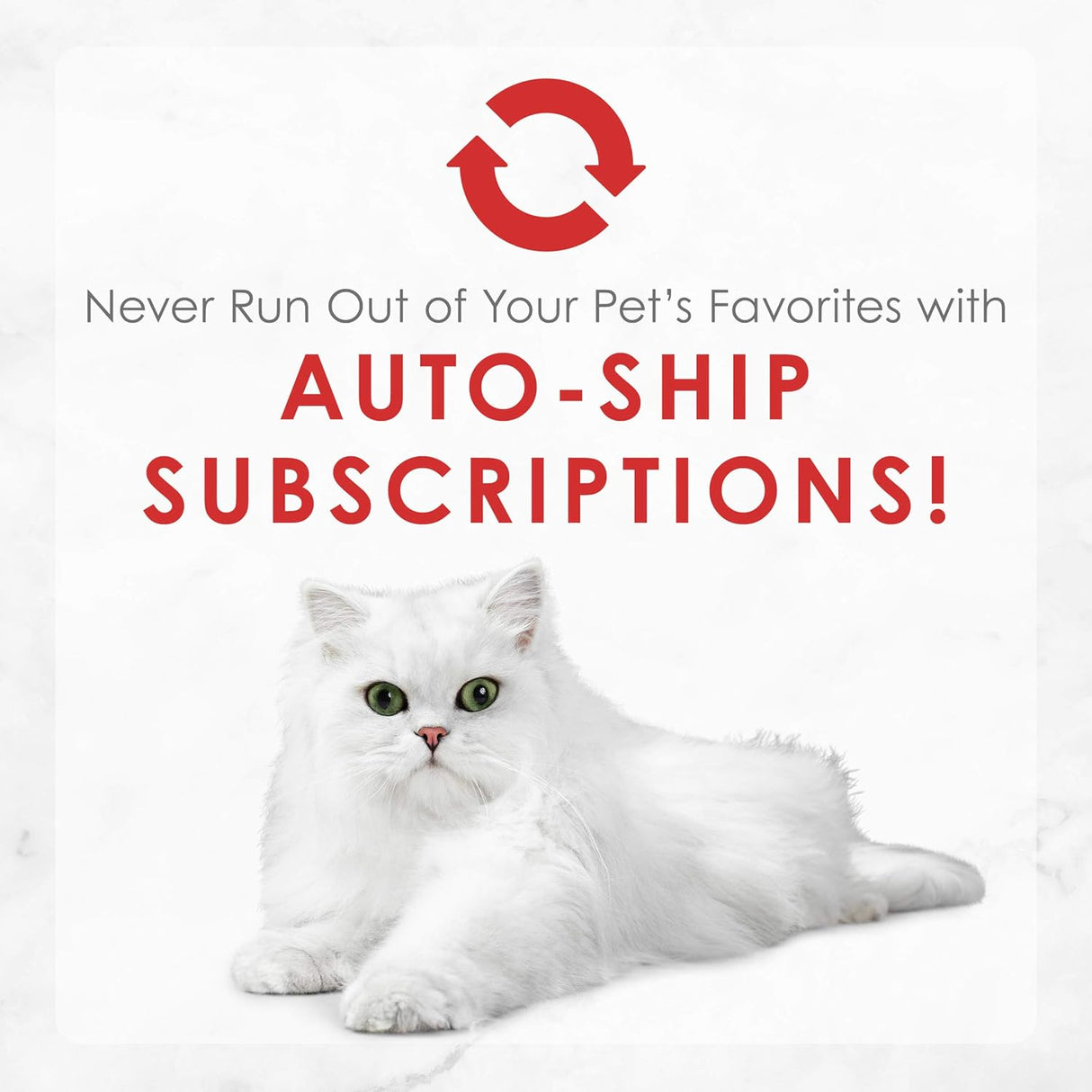 Alimento para Gatos húmeda enlatada Paté