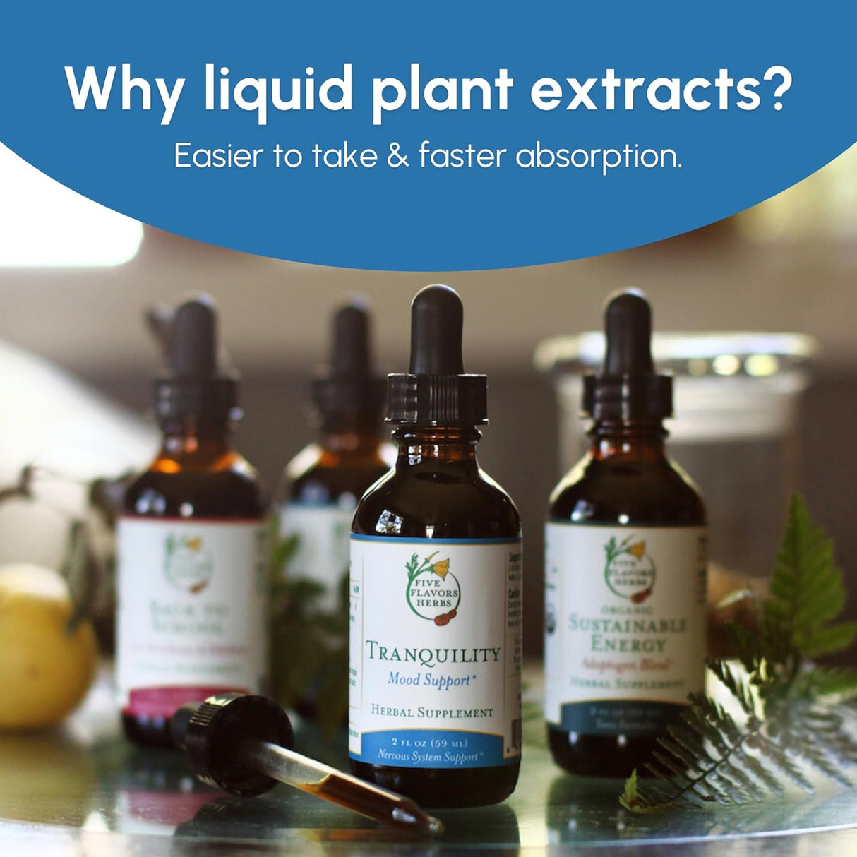 Suplemento Tintura de claridad orgánica sistema nervioso