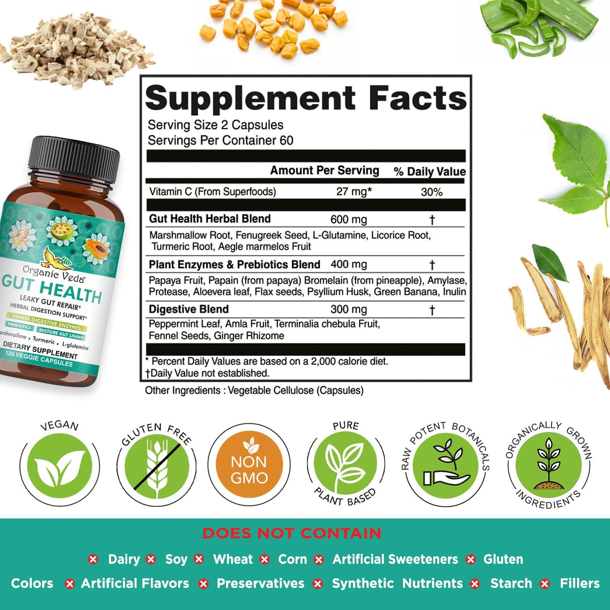 Suplemento para la Salud Intestinal con Enzimas y Prebióticos