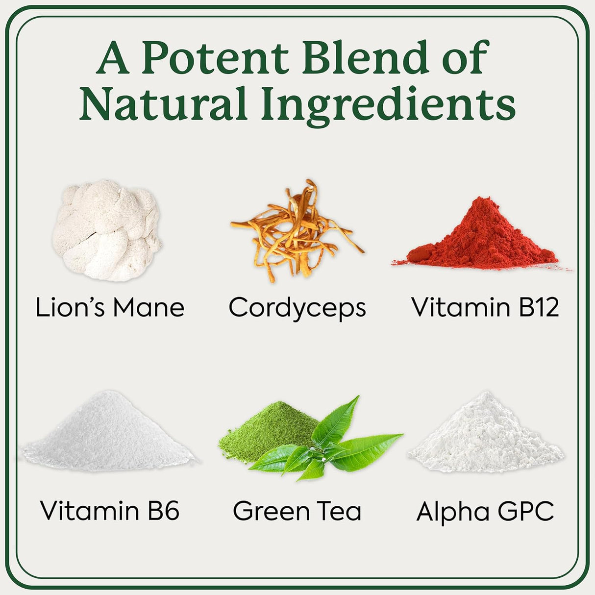 Gomitas de Hongos Nootrópicos con Lion’s Mane y Cordyceps