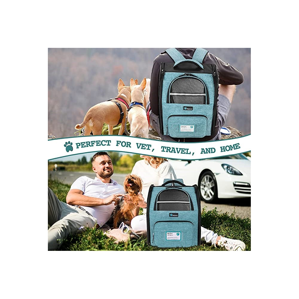 Mochila de lujo para mascotas para gatos marco reforzado