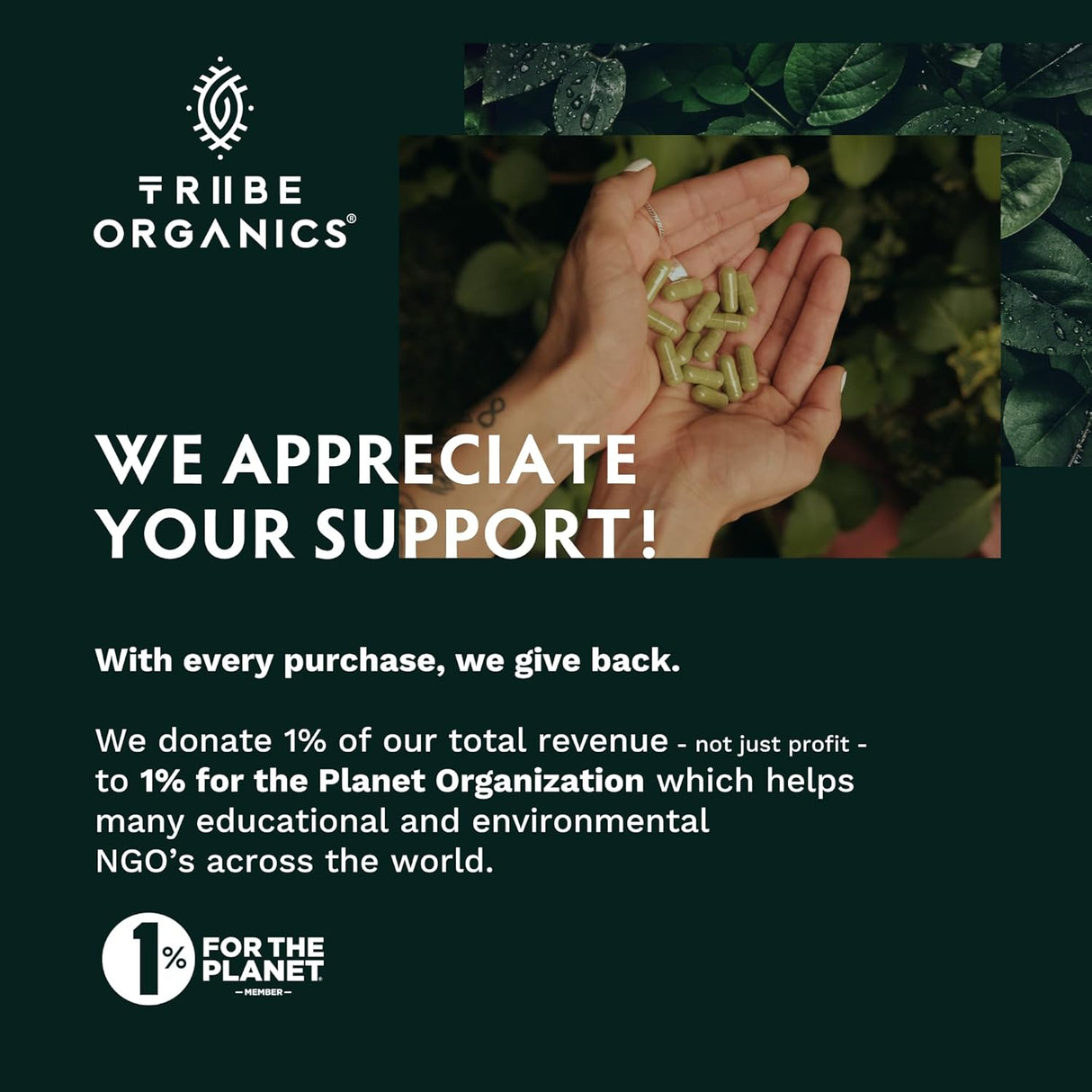 Suplemento Boswellia Serrata Complejo para Articulaciones y Músculos