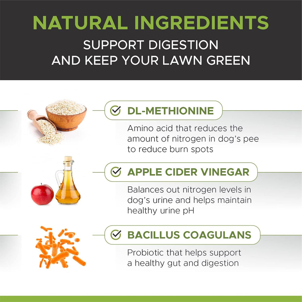 Vitaminas para perros de hierba verde hierba