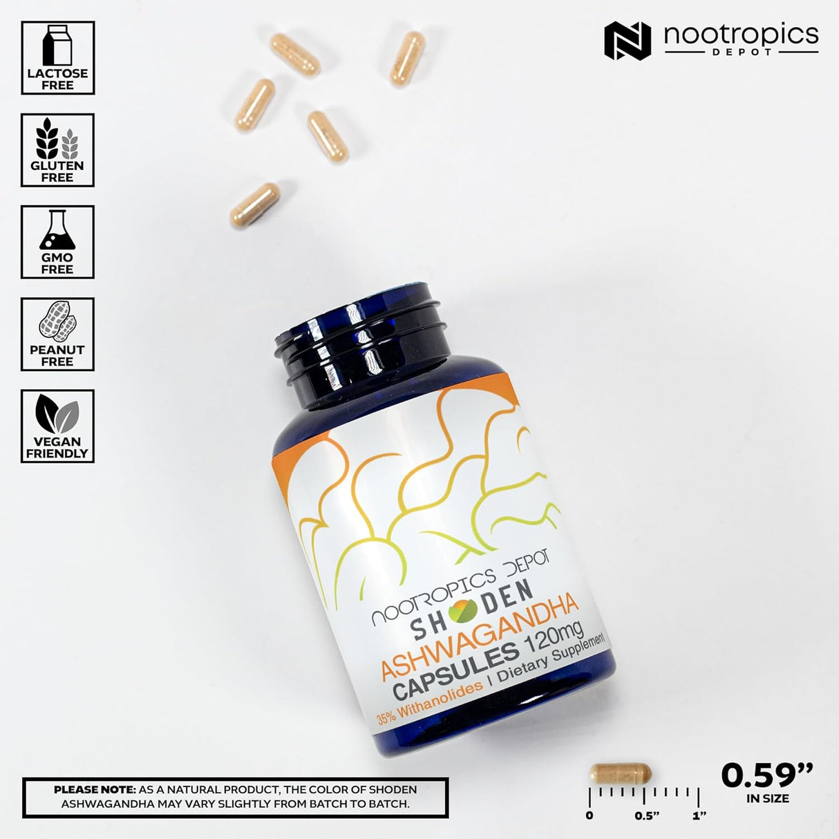 Nootropics Depot Shoden Ashwagandha Extract Cápsulas 120mg