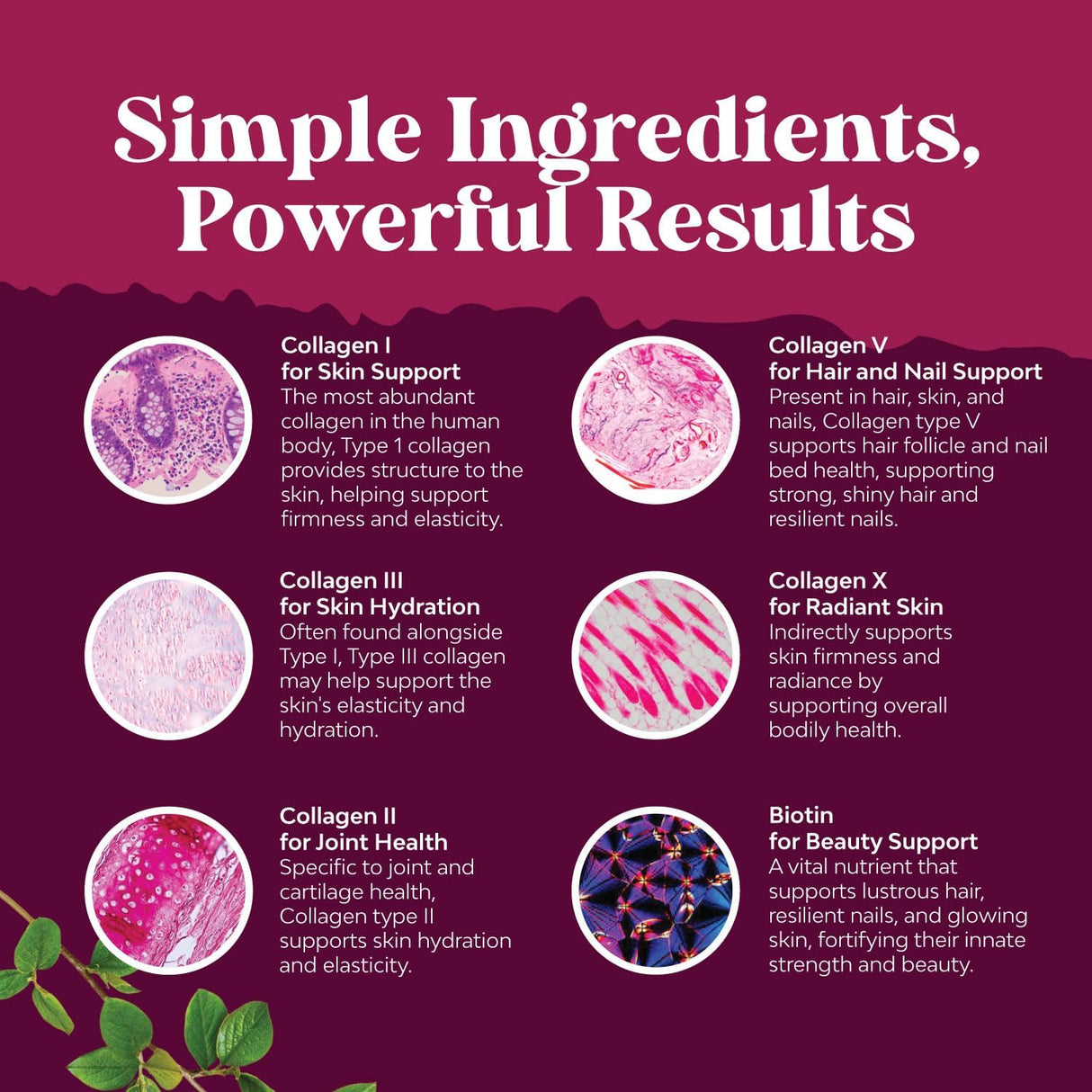 Suplemento Avanzado de Colágeno y Biotina con Vitaminas