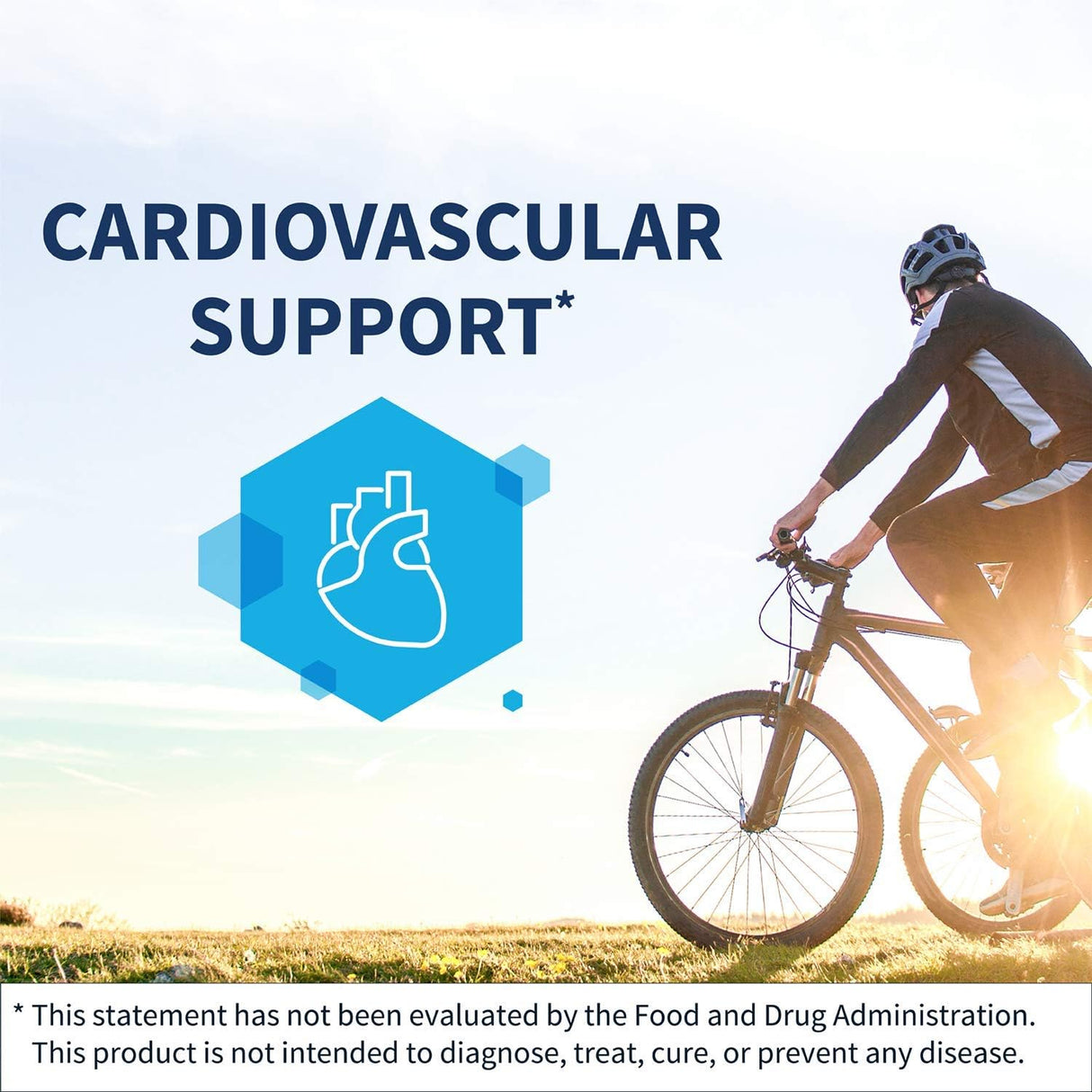 Suplementos Alimenticios de vitamina K2