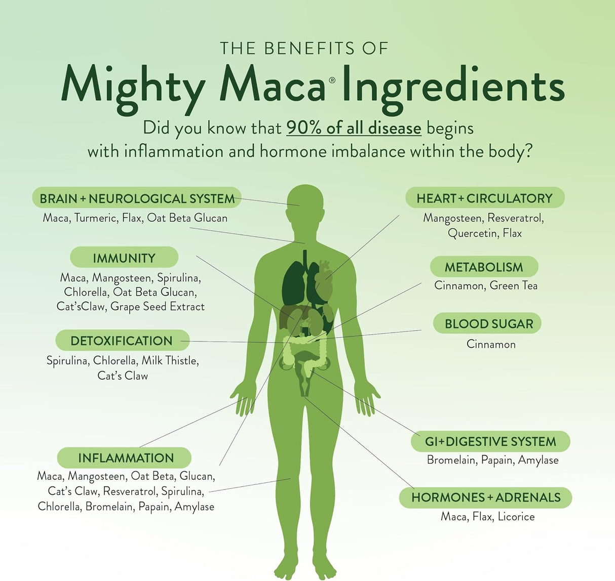 Mighty Maca Plus - Superfoods Maca Verde Orgánico, Detox, Vegan