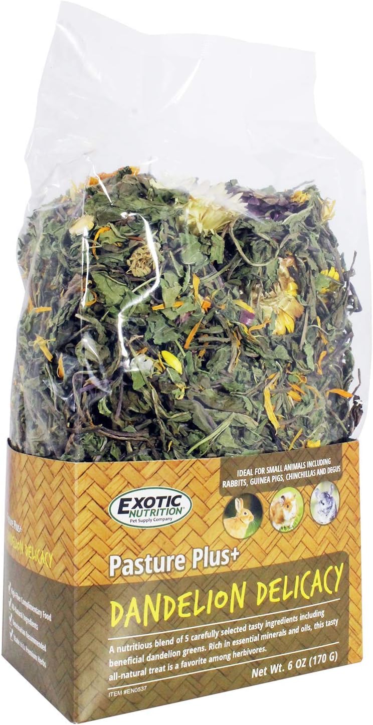 Delicia de Diente de León - Pasture Plus+, Alta Fibra, 100g