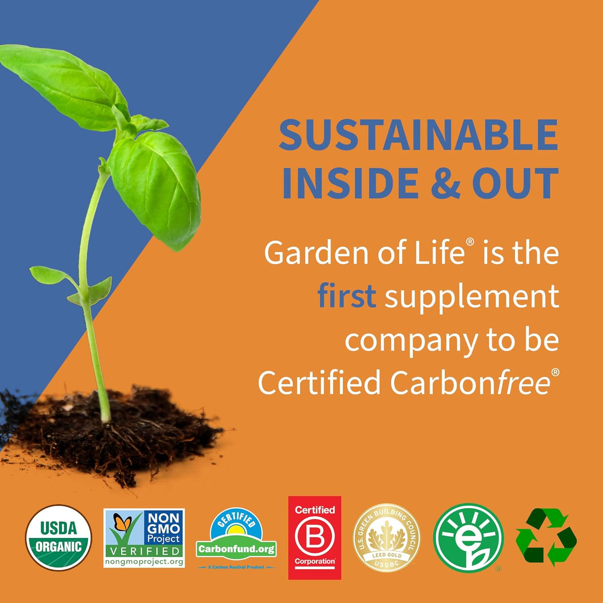 Suplementos de fibra prebiótica CFU con vitamina D3