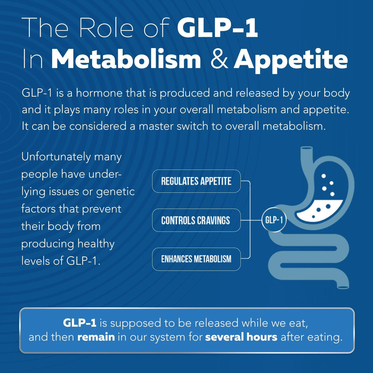 Suplemento Apoyo para el apetito y el metabolismo