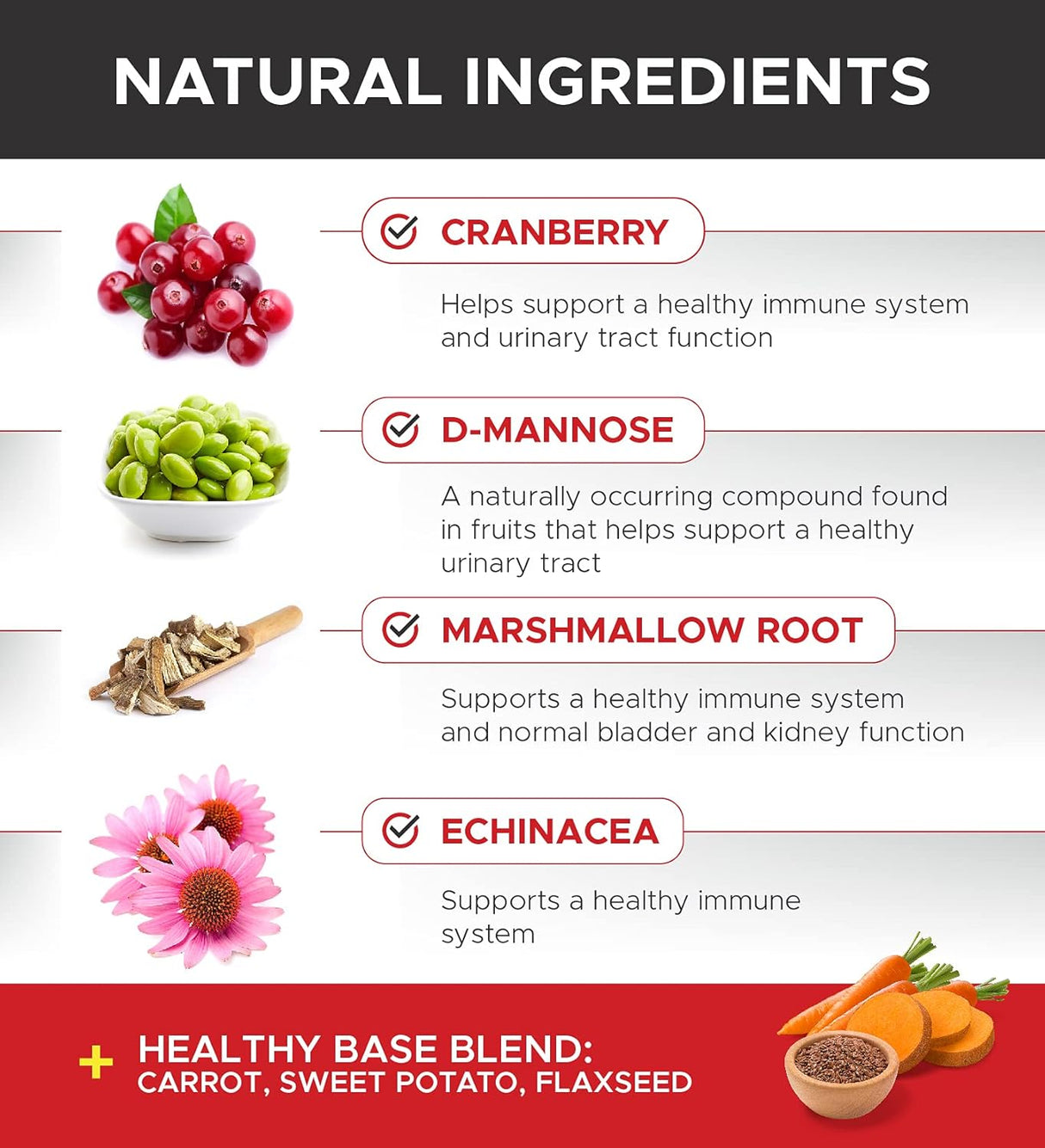 Vitaminas Arándano para perros Los suplementos para perros