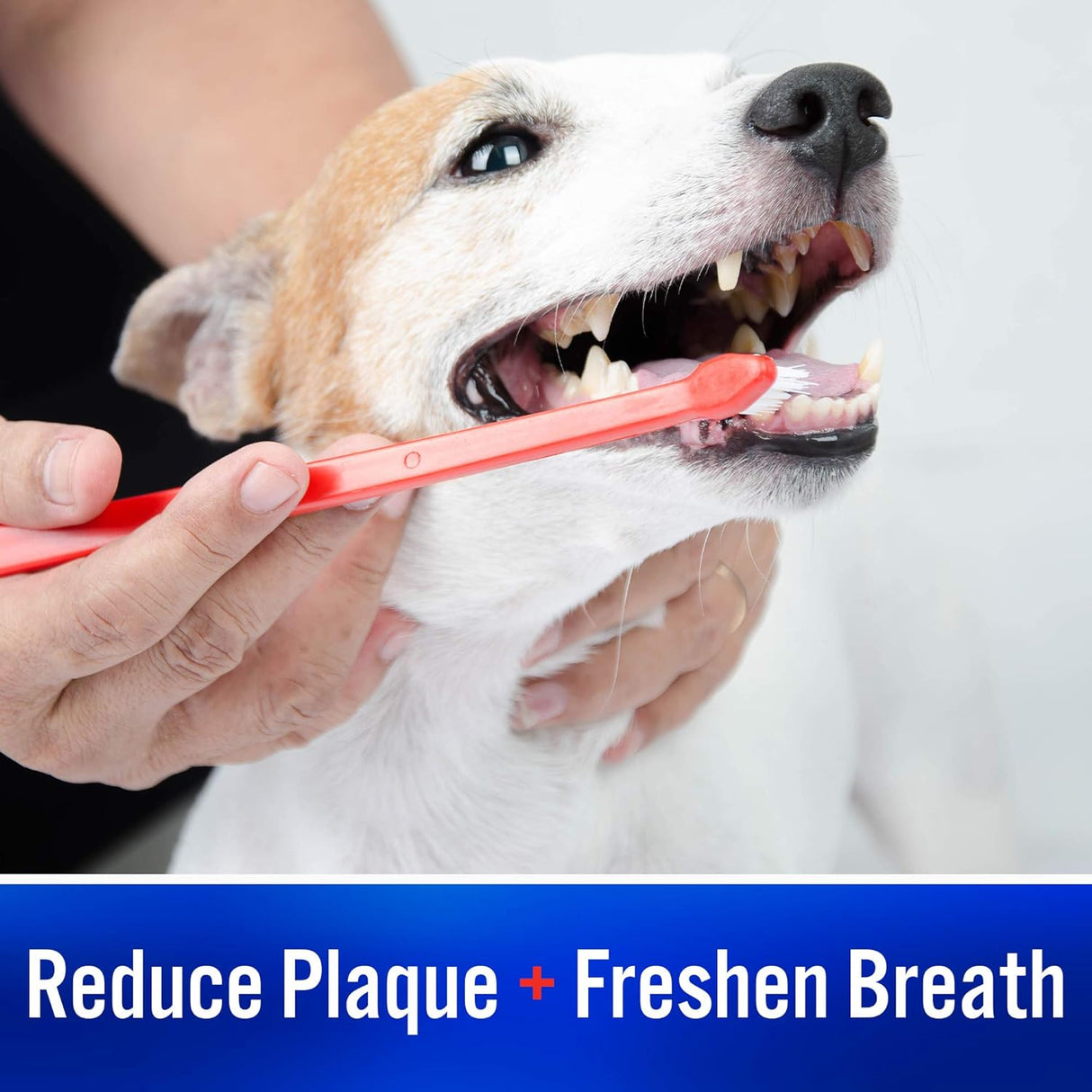 Pastas de dientes enzimática elimina el mal aliento