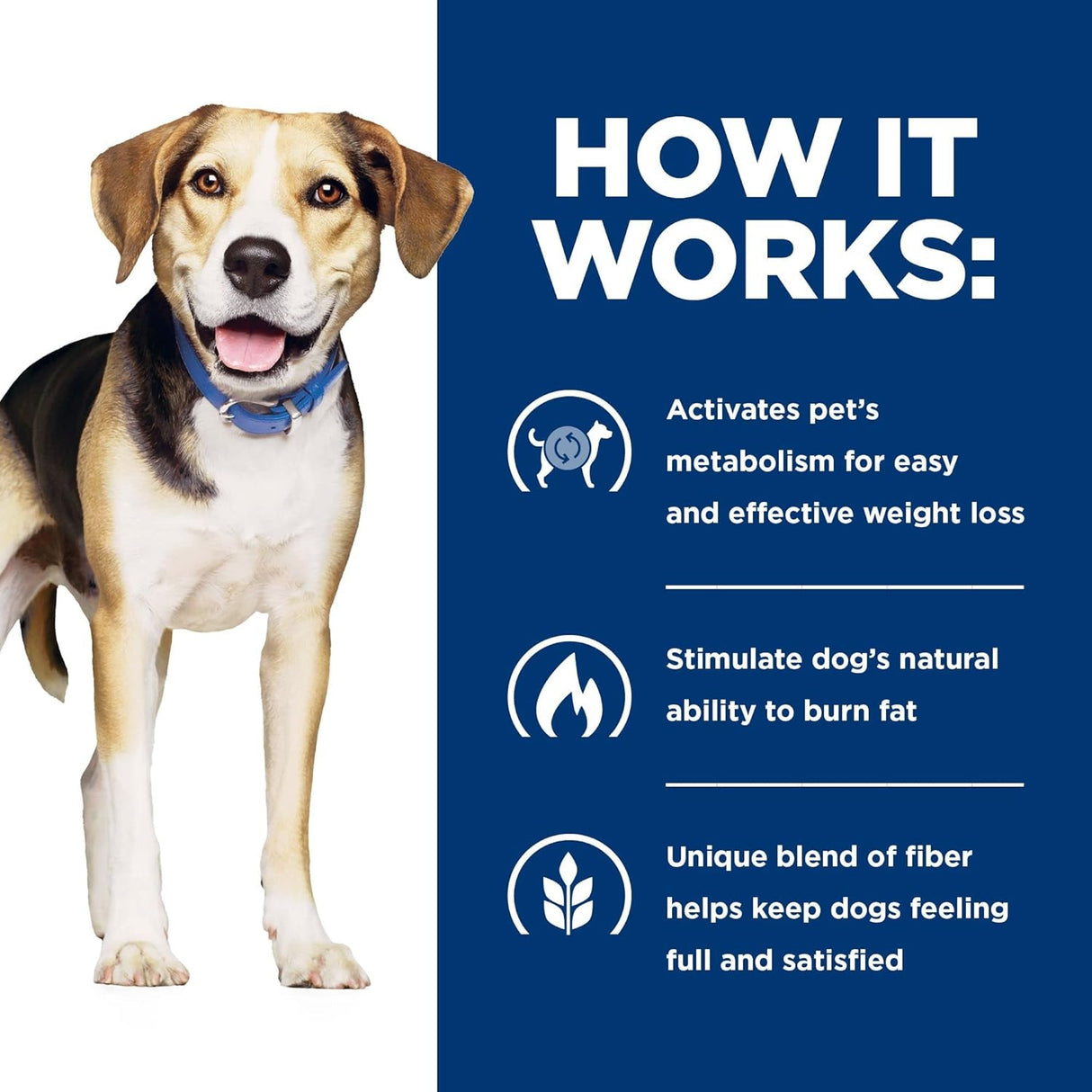 Alimento para Perros seco con fórmula de cordero y arroz