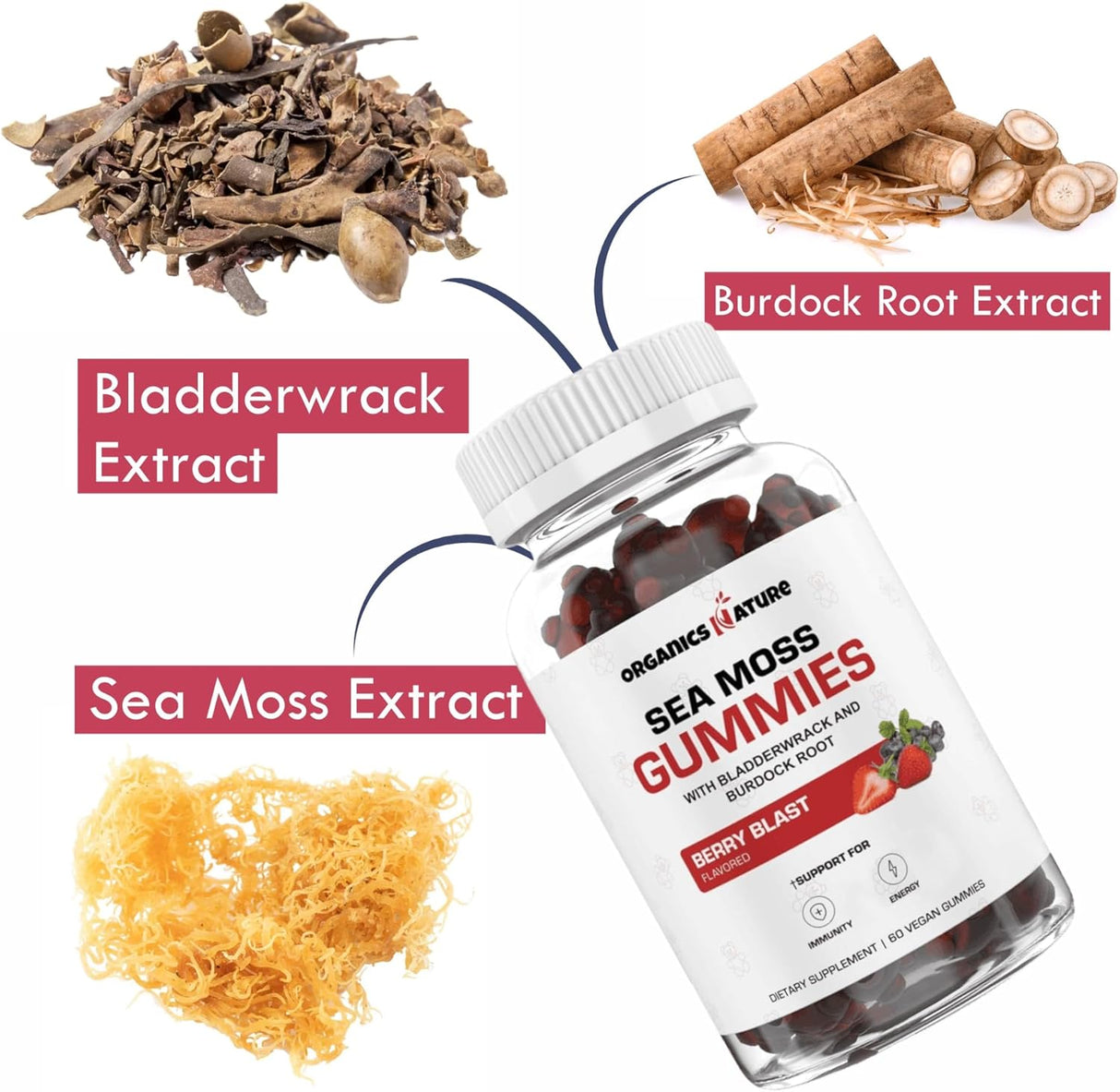 Organics Nature Gominolas de Sea Moss para Detox, Inmuno y Energía