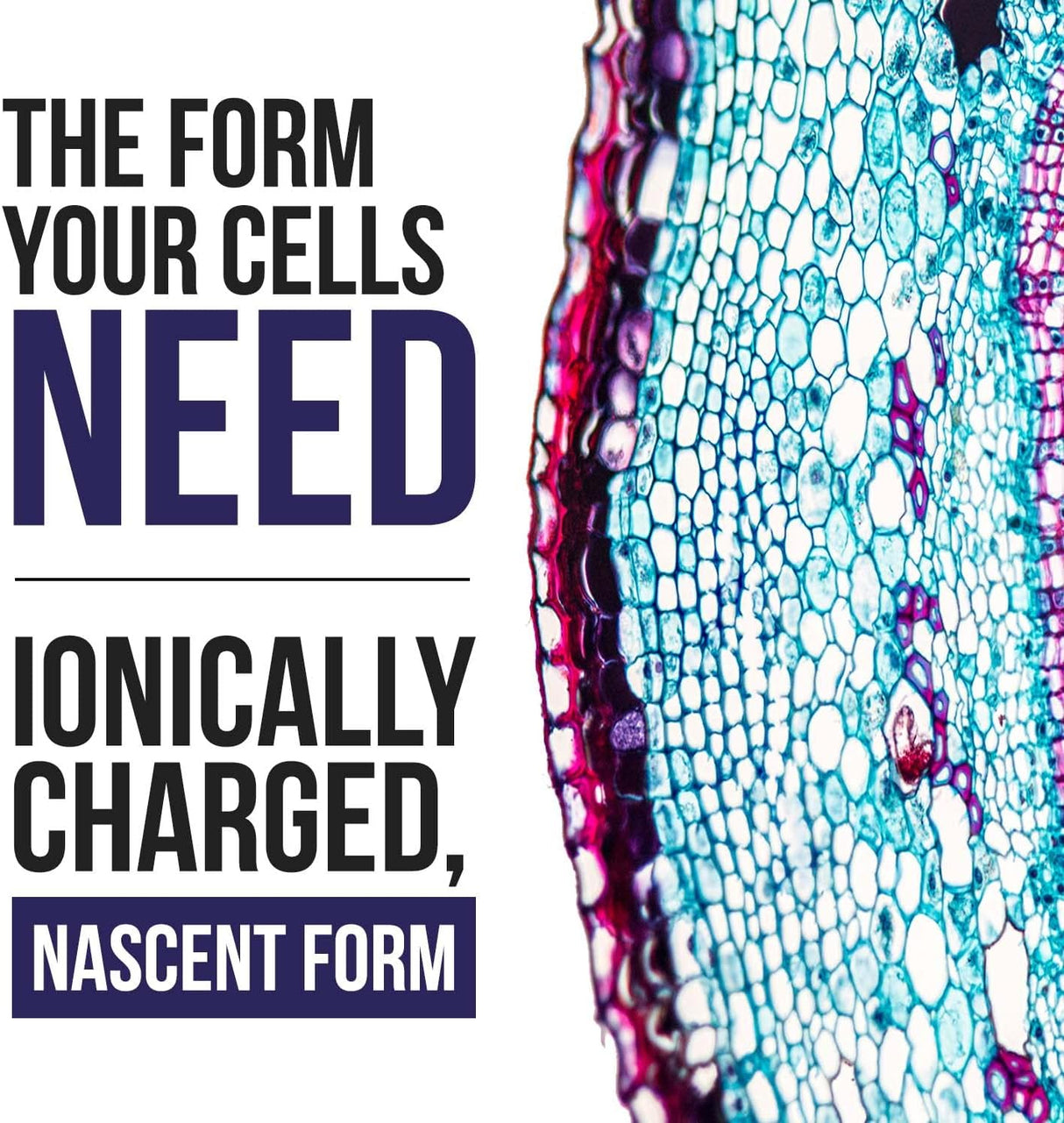 Suplemento de yodo 400 porciones vegana 1800 mcg 59ml