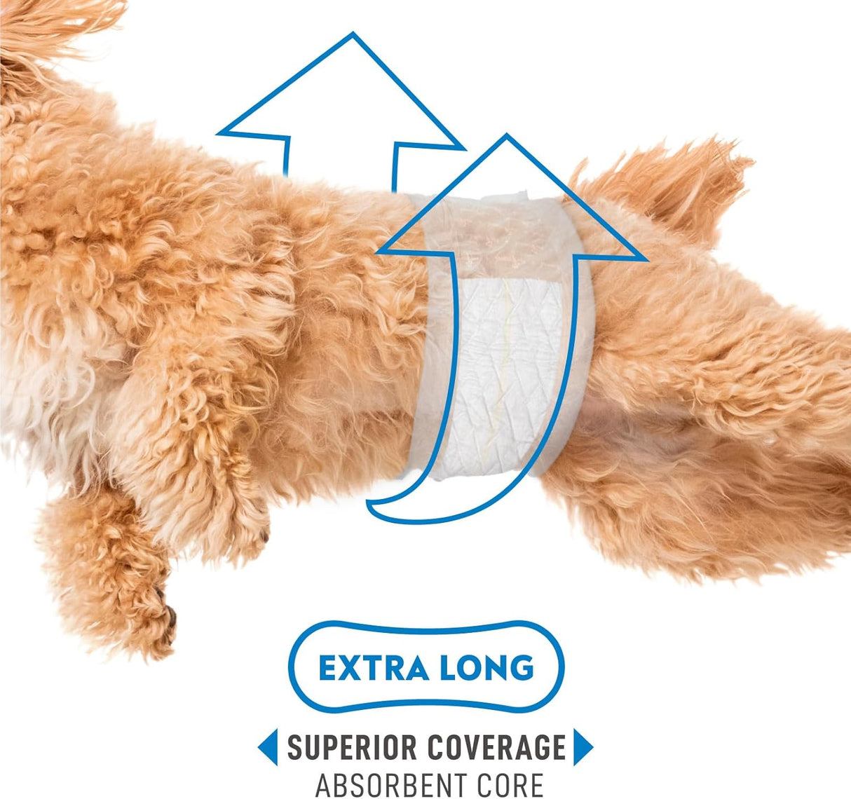 Paw Inspired Select Fit - Pañuelo desechable para macho