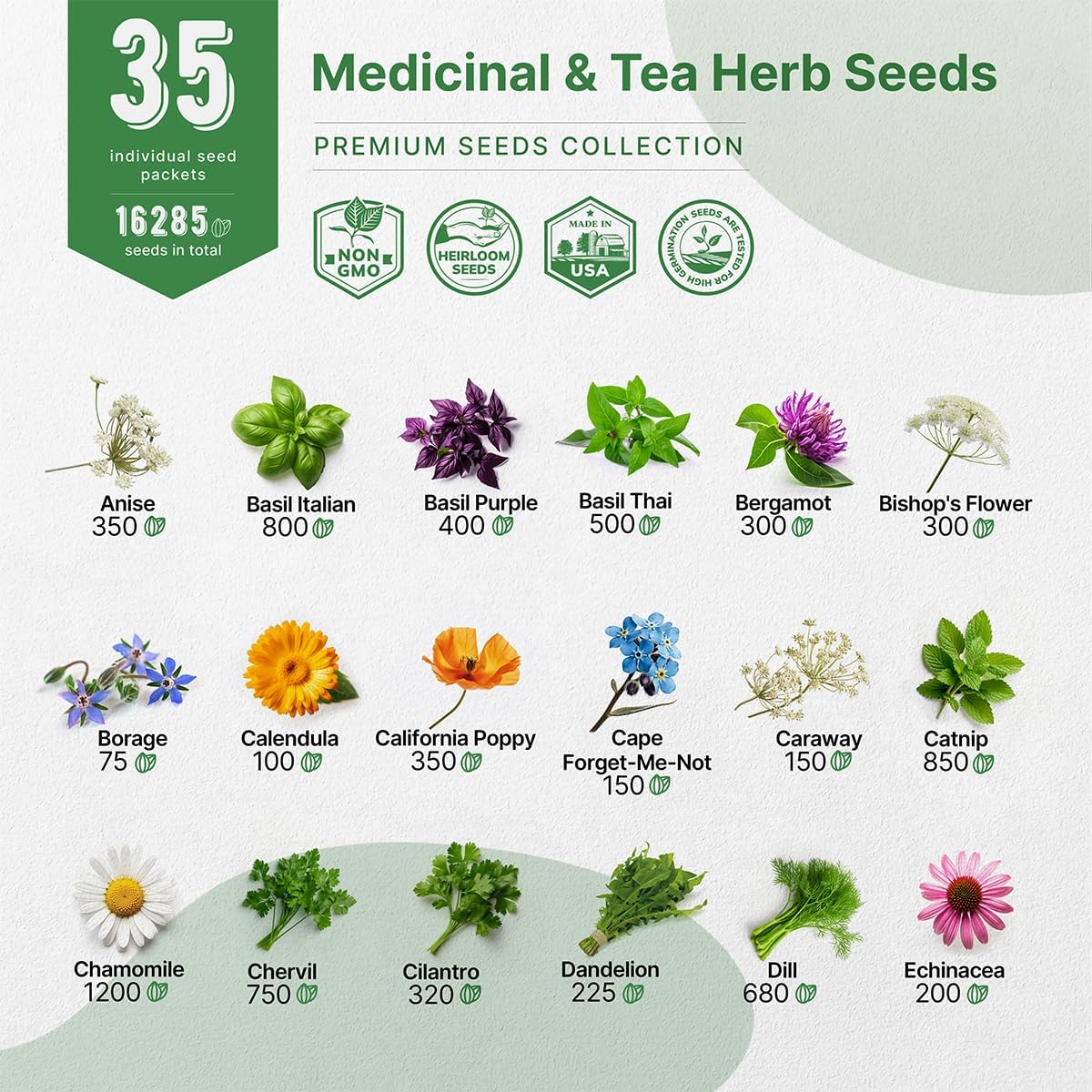 Pack de 35 Semillas de Hierbas Medicinales y Té - No GMO