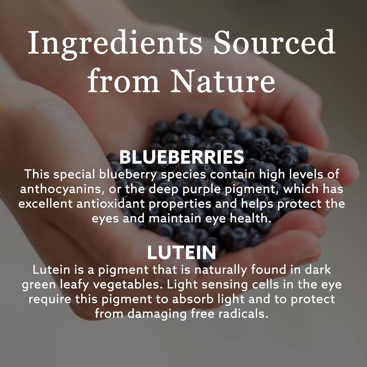 NEW NORDIC Blueberry Strong | Macular Pigmentation Night