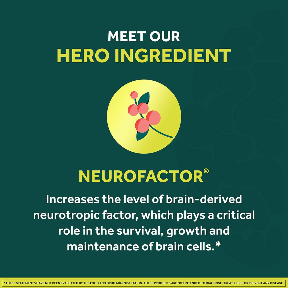 Neuriva Gomitas de cerebro + energía suplemento cerebral 75u