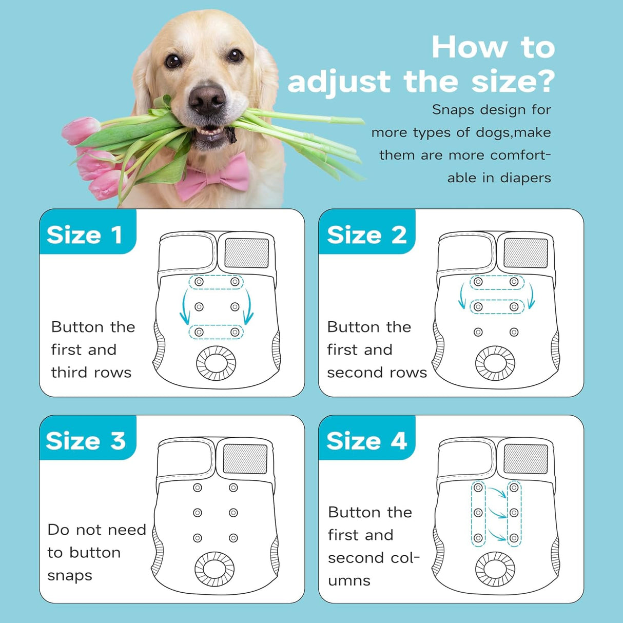 Paw Legend Pañales lavables (3 unidades, XS)