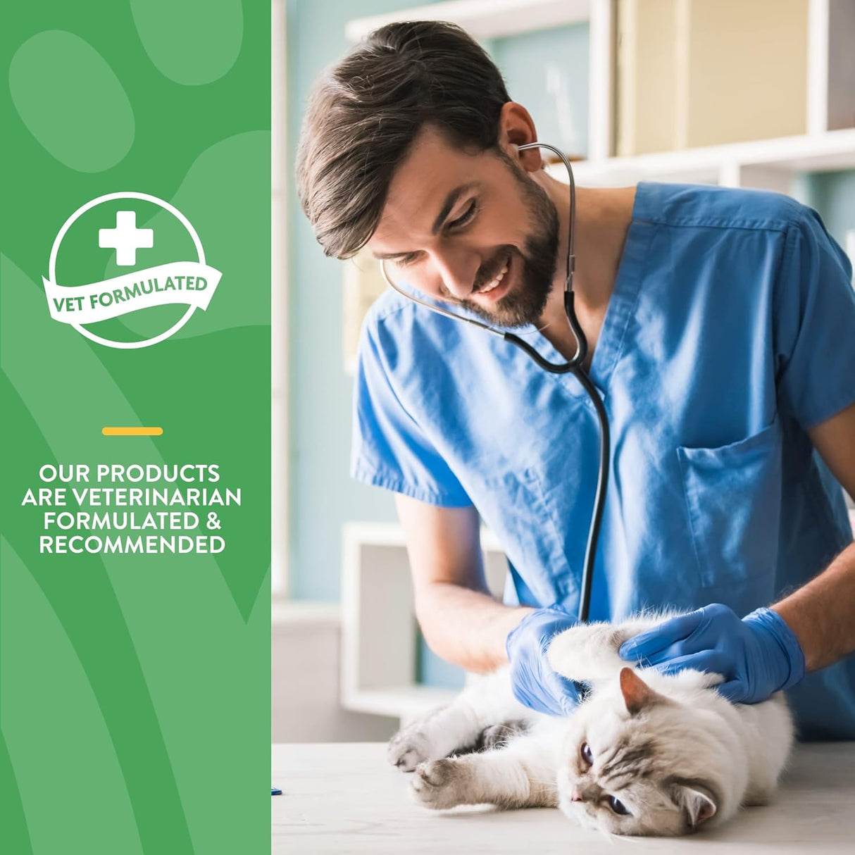 Suplementos para gatos Ayuda a apoyar el cambio de dieta