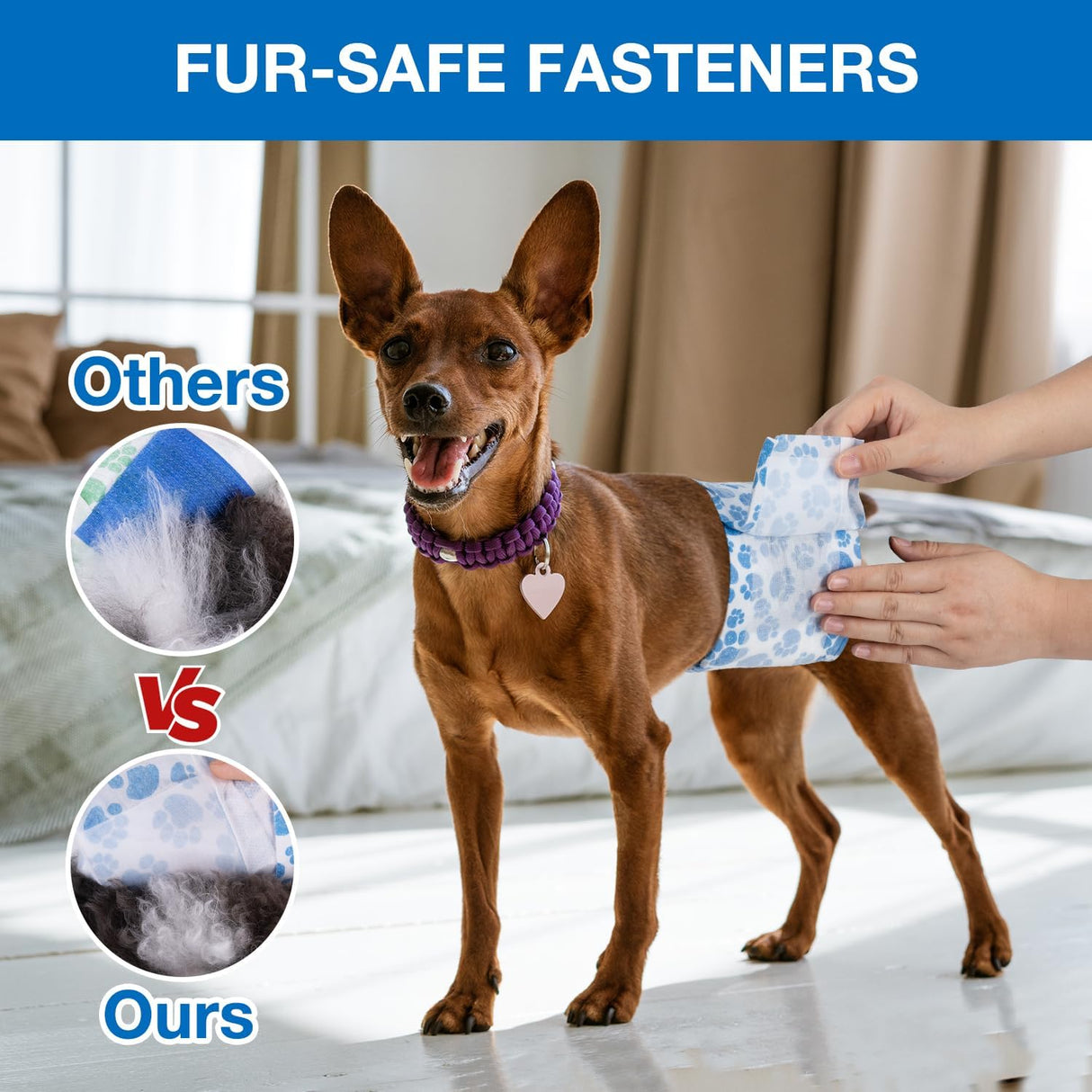 Dono Pañales desechables para perros machos,20 unidades