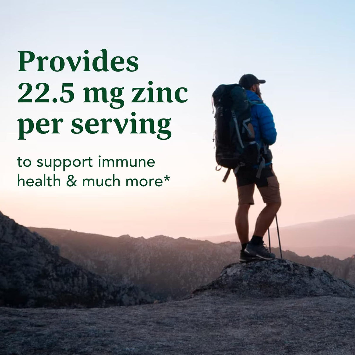 Suplemento de apoyo para la salud inmune con zinc vegano