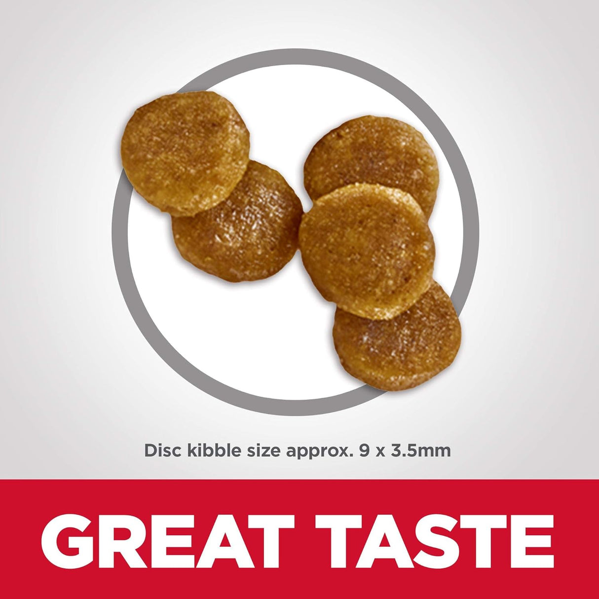 Alimento seco para gatos bolsa de 6 libras