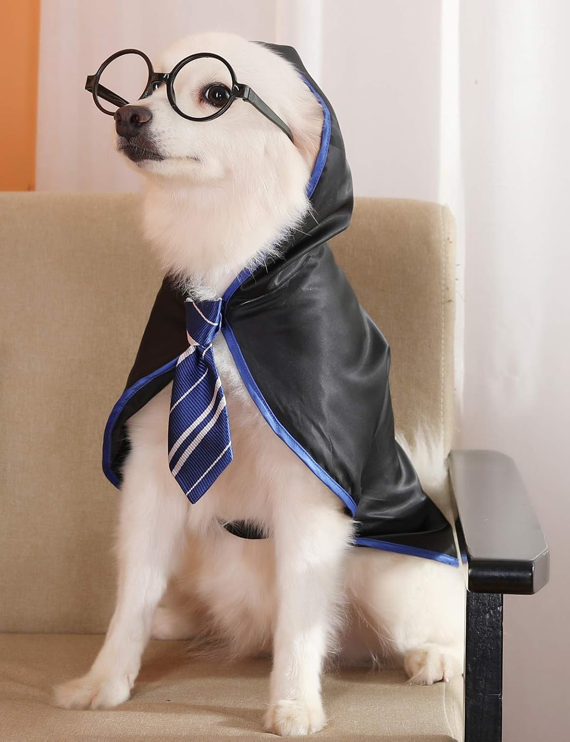 Disfraces de bruja talla S